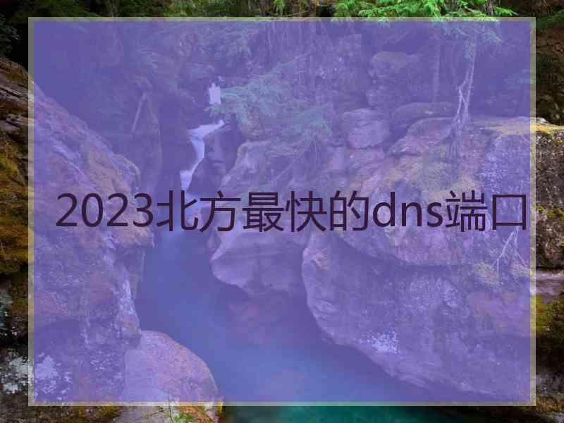 2023北方最快的dns端口