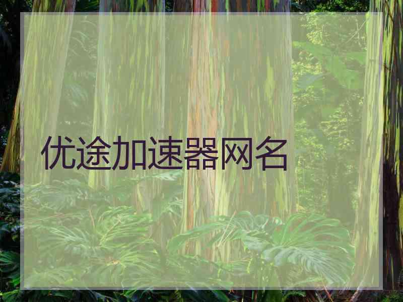 优途加速器网名