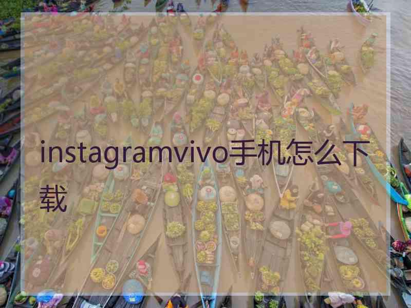 instagramvivo手机怎么下载