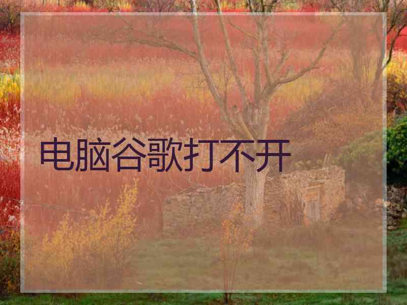 电脑谷歌打不开