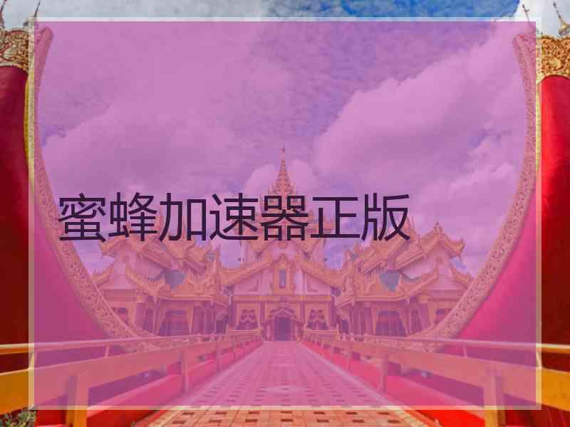 蜜蜂加速器正版