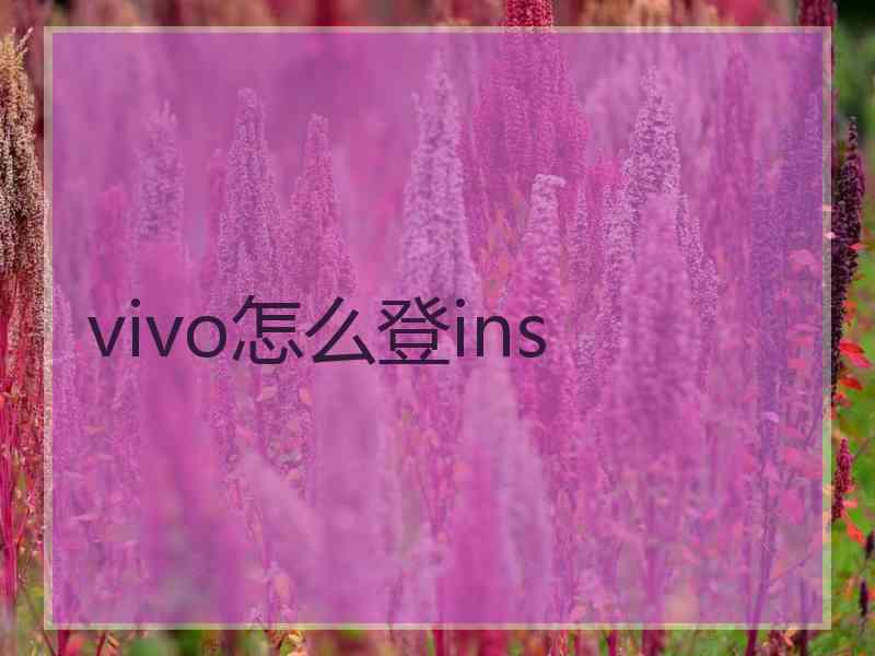 vivo怎么登ins