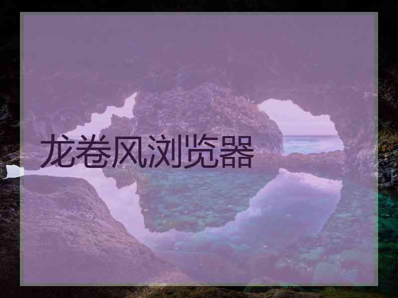 龙卷风浏览器