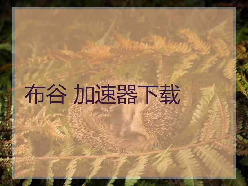 布谷 加速器下载
