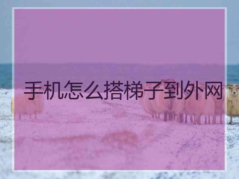 手机怎么搭梯子到外网