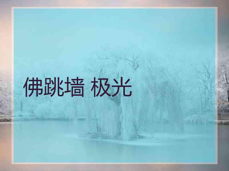 佛跳墙 极光