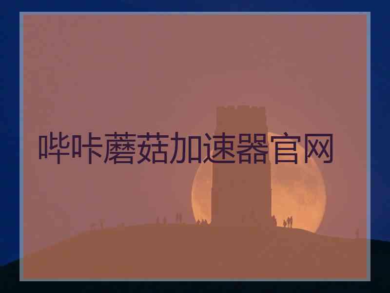 哔咔蘑菇加速器官网