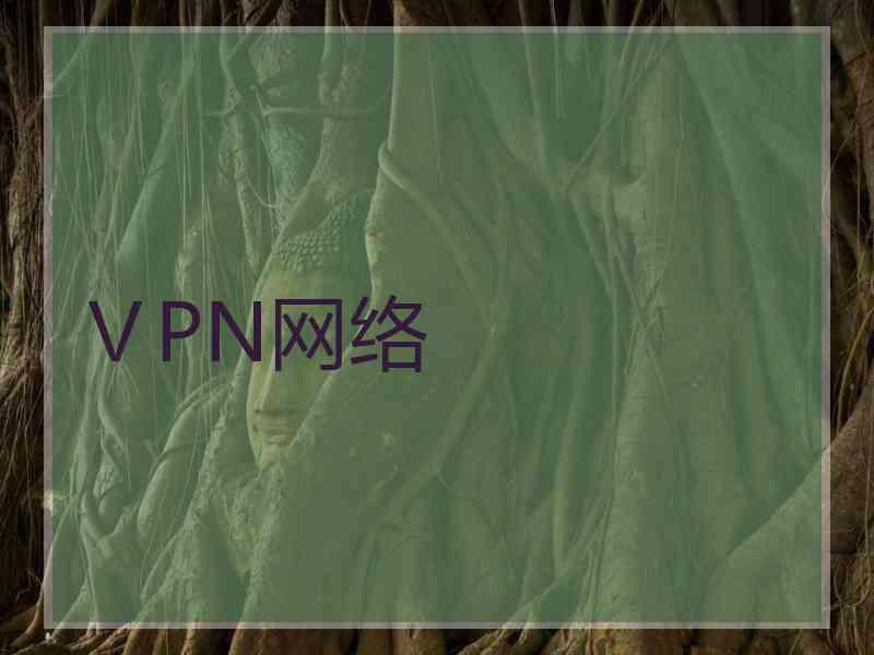 ⅤPN网络