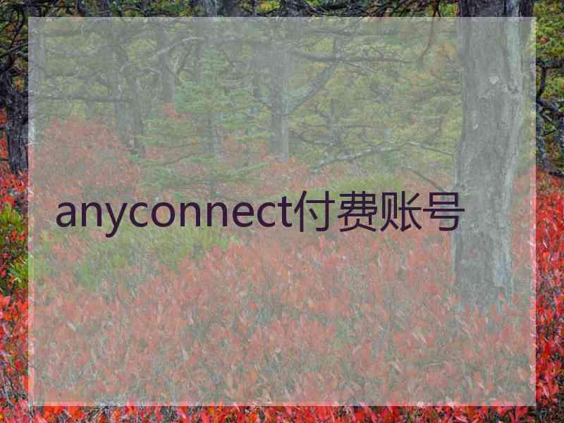 anyconnect付费账号