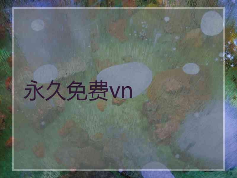 永久免费vn