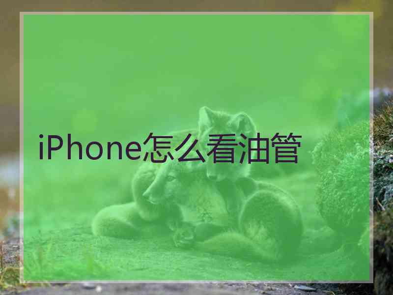 iPhone怎么看油管