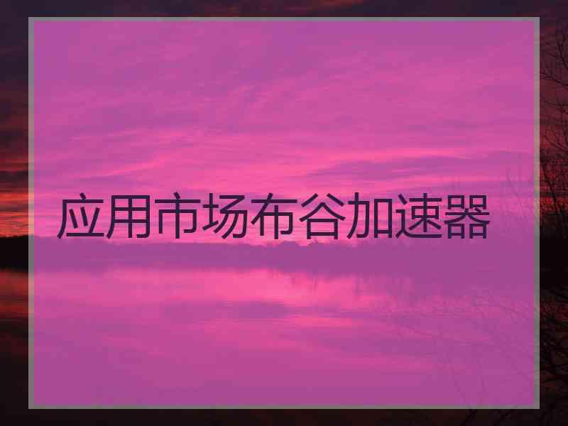 应用市场布谷加速器