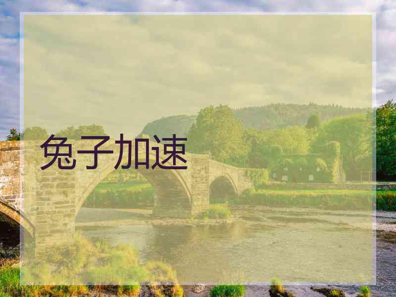 兔子加速