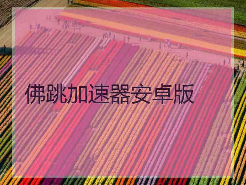 佛跳加速器安卓版