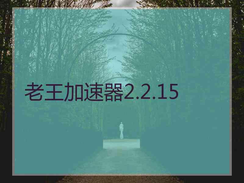 老王加速器2.2.15