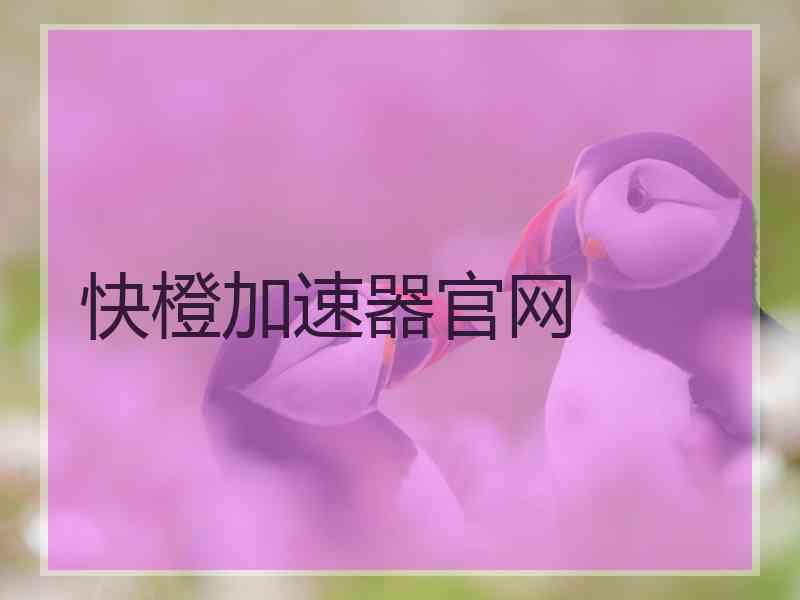 快橙加速器官网