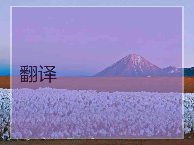 翻译
