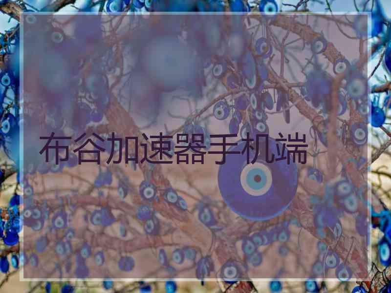 布谷加速器手机端