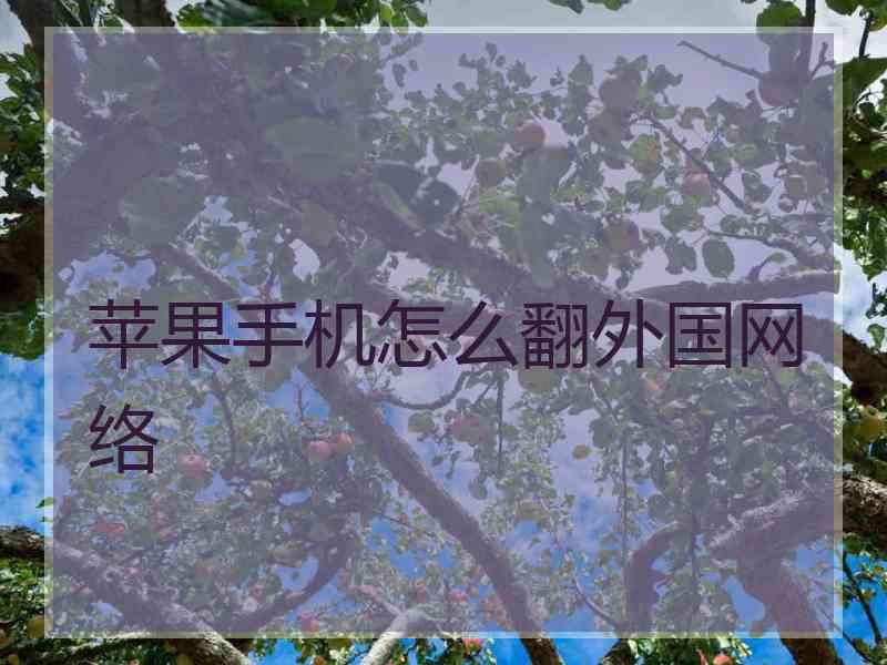 苹果手机怎么翻外国网络