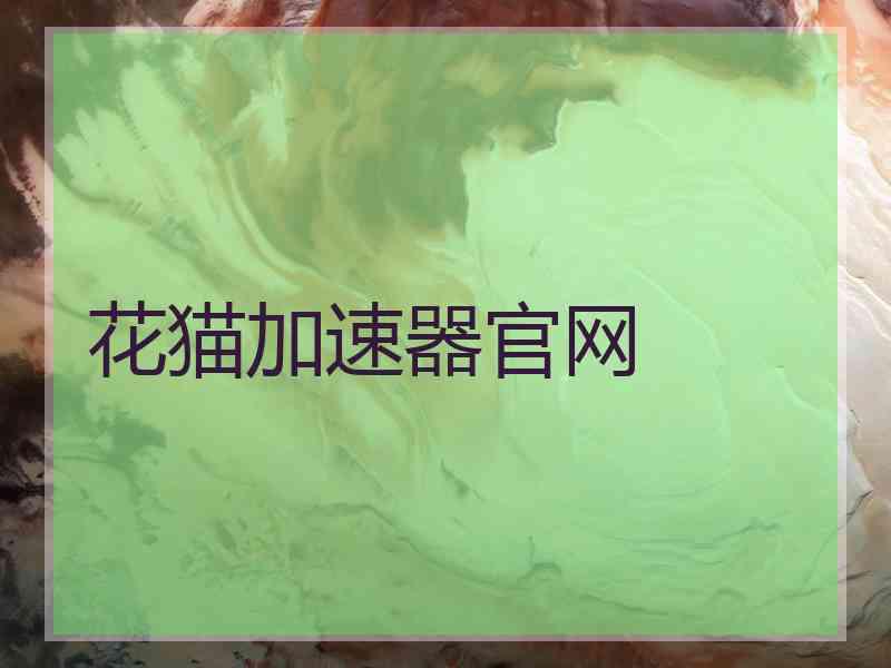 花猫加速器官网