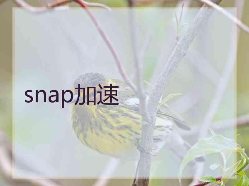 snap加速