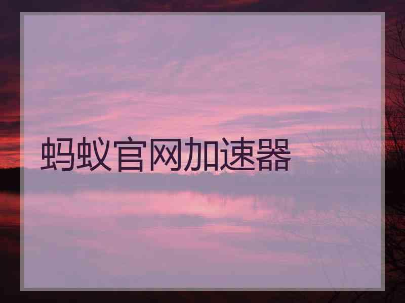 蚂蚁官网加速器