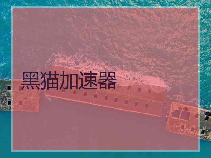 黑猫加速器