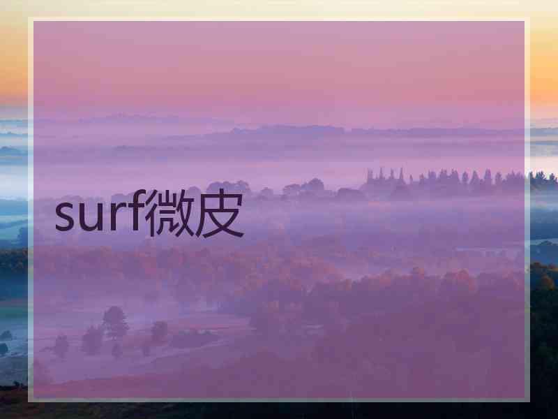 surf微皮