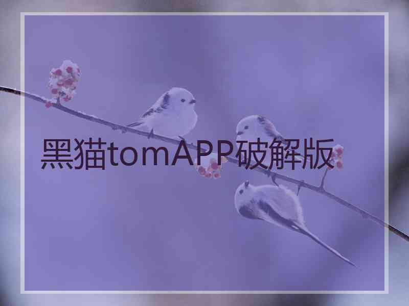 黑猫tomAPP破解版