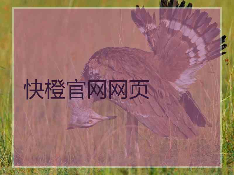 快橙官网网页