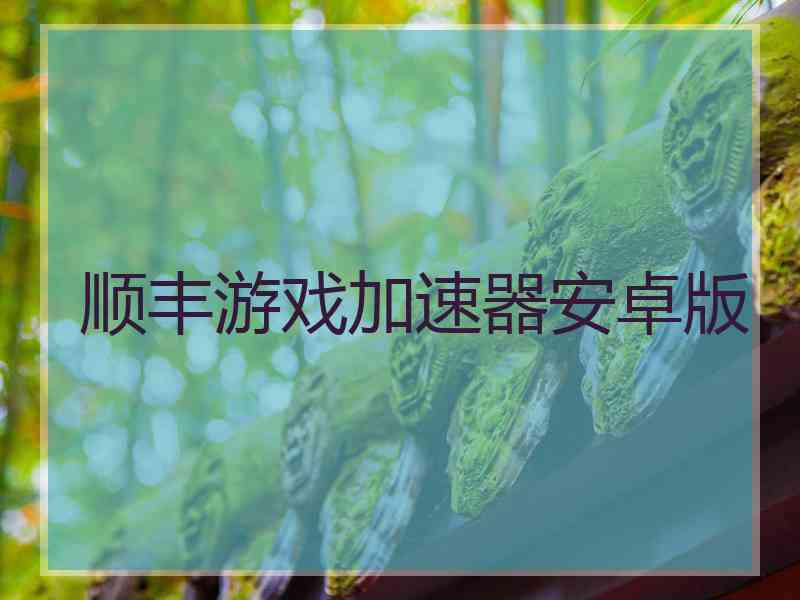 顺丰游戏加速器安卓版