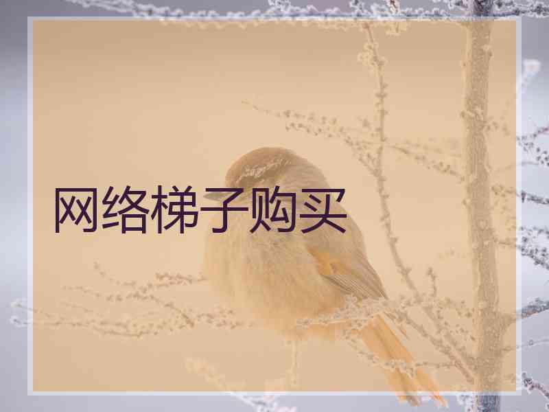 网络梯子购买