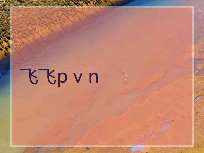 飞飞p v n