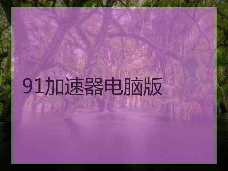 91加速器电脑版