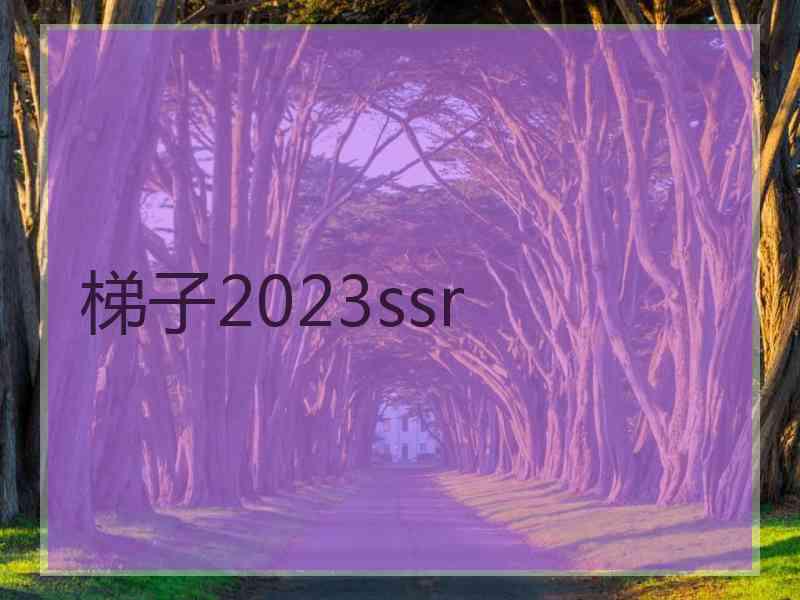 梯子2023ssr