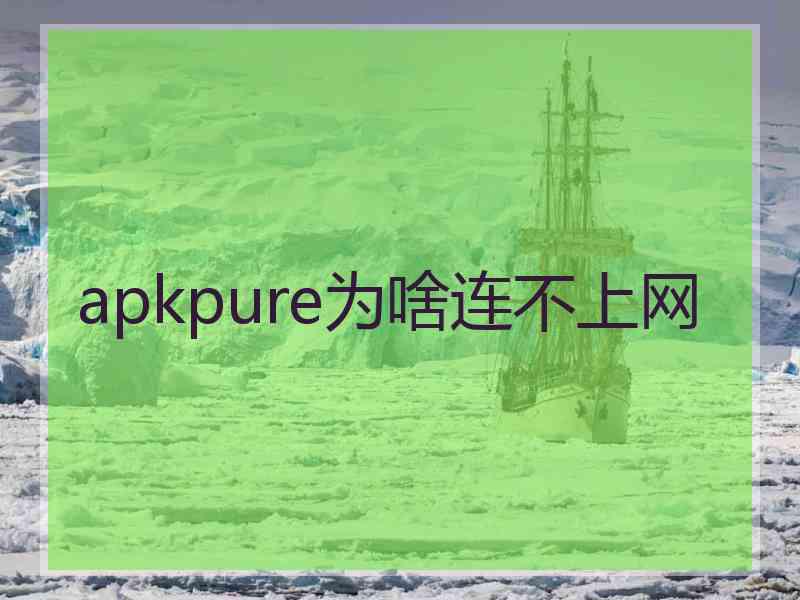 apkpure为啥连不上网