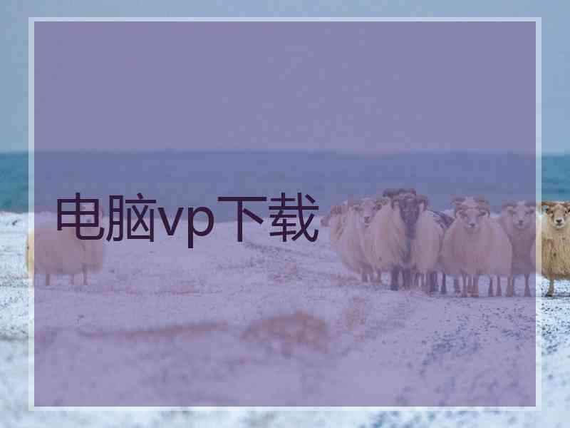 电脑vp下载