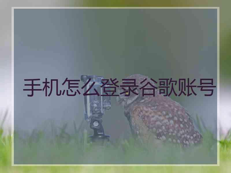 手机怎么登录谷歌账号