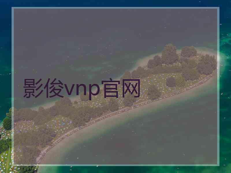 影俊vnp官网