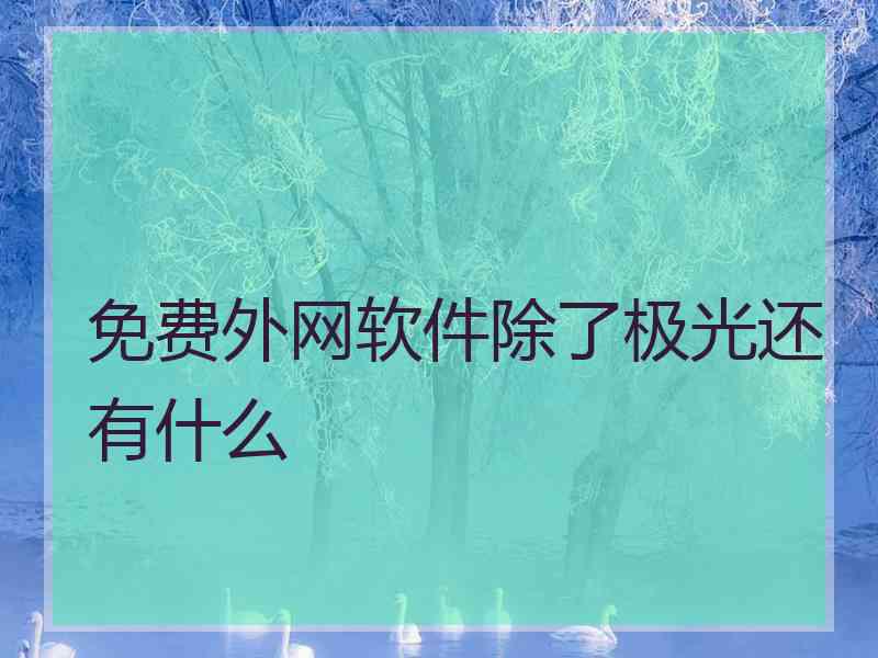 免费外网软件除了极光还有什么