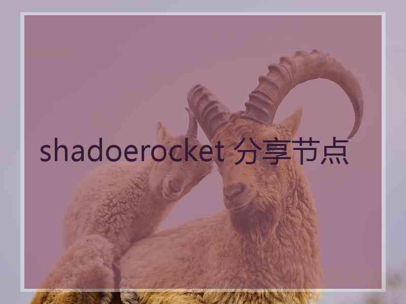 shadoerocket 分享节点