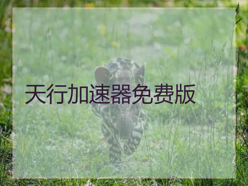 天行加速器免费版