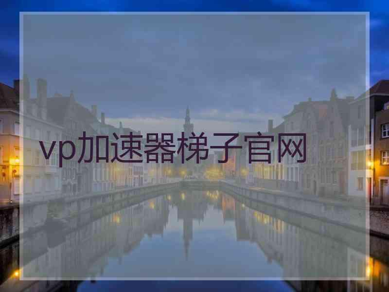vp加速器梯子官网