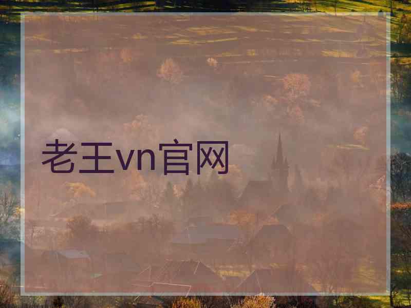 老王vn官网