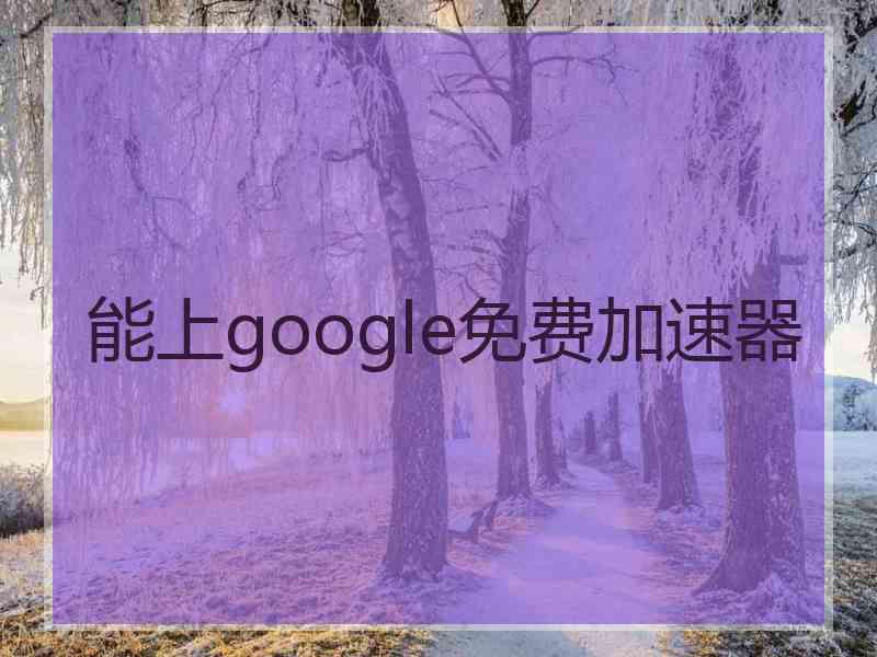 能上google免费加速器