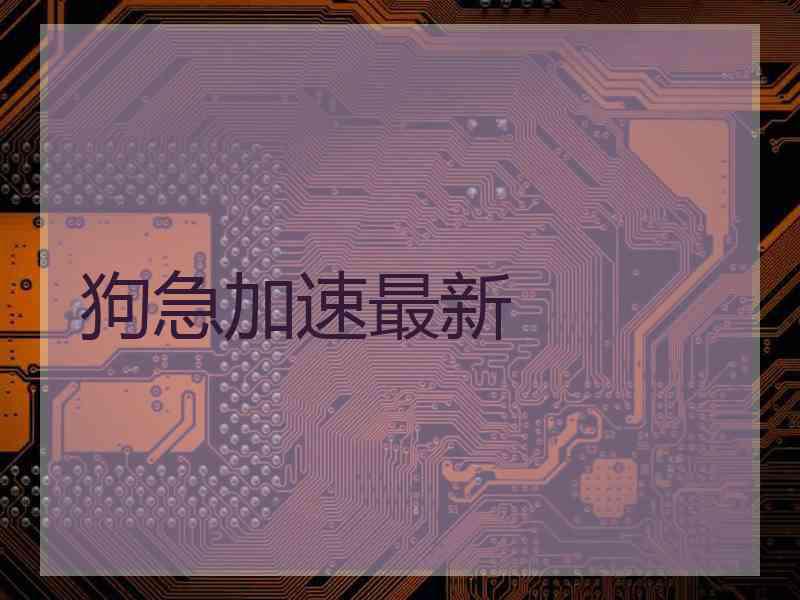 狗急加速最新