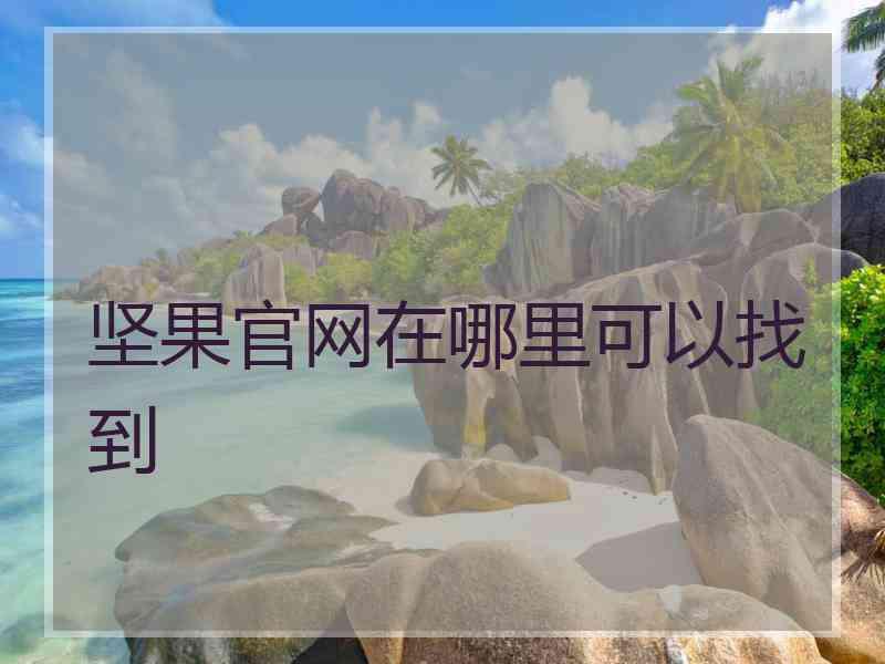 坚果官网在哪里可以找到