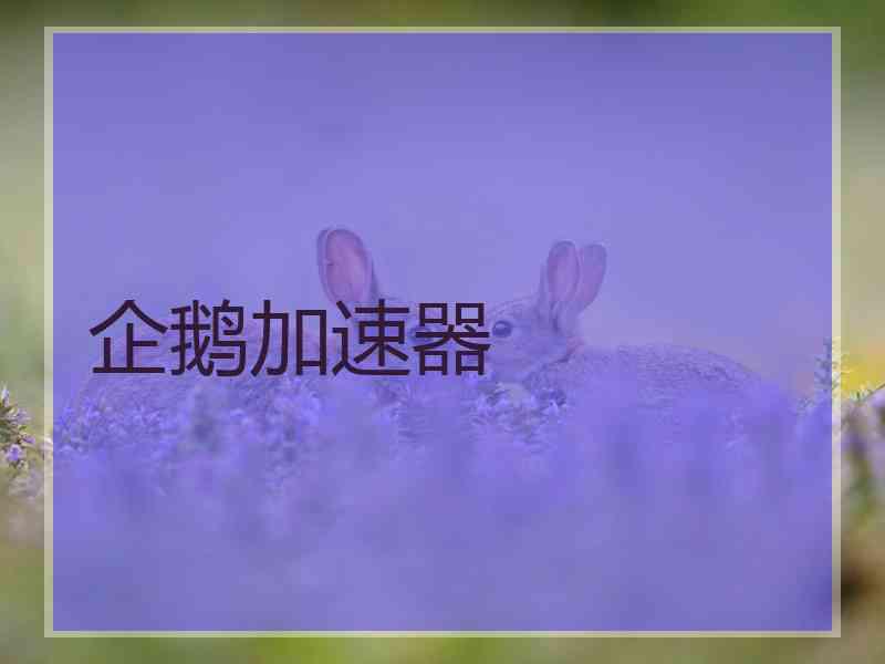 企鹅加速器