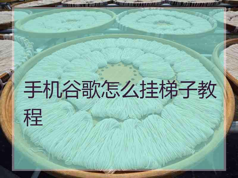 手机谷歌怎么挂梯子教程
