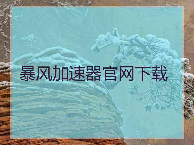 暴风加速器官网下载